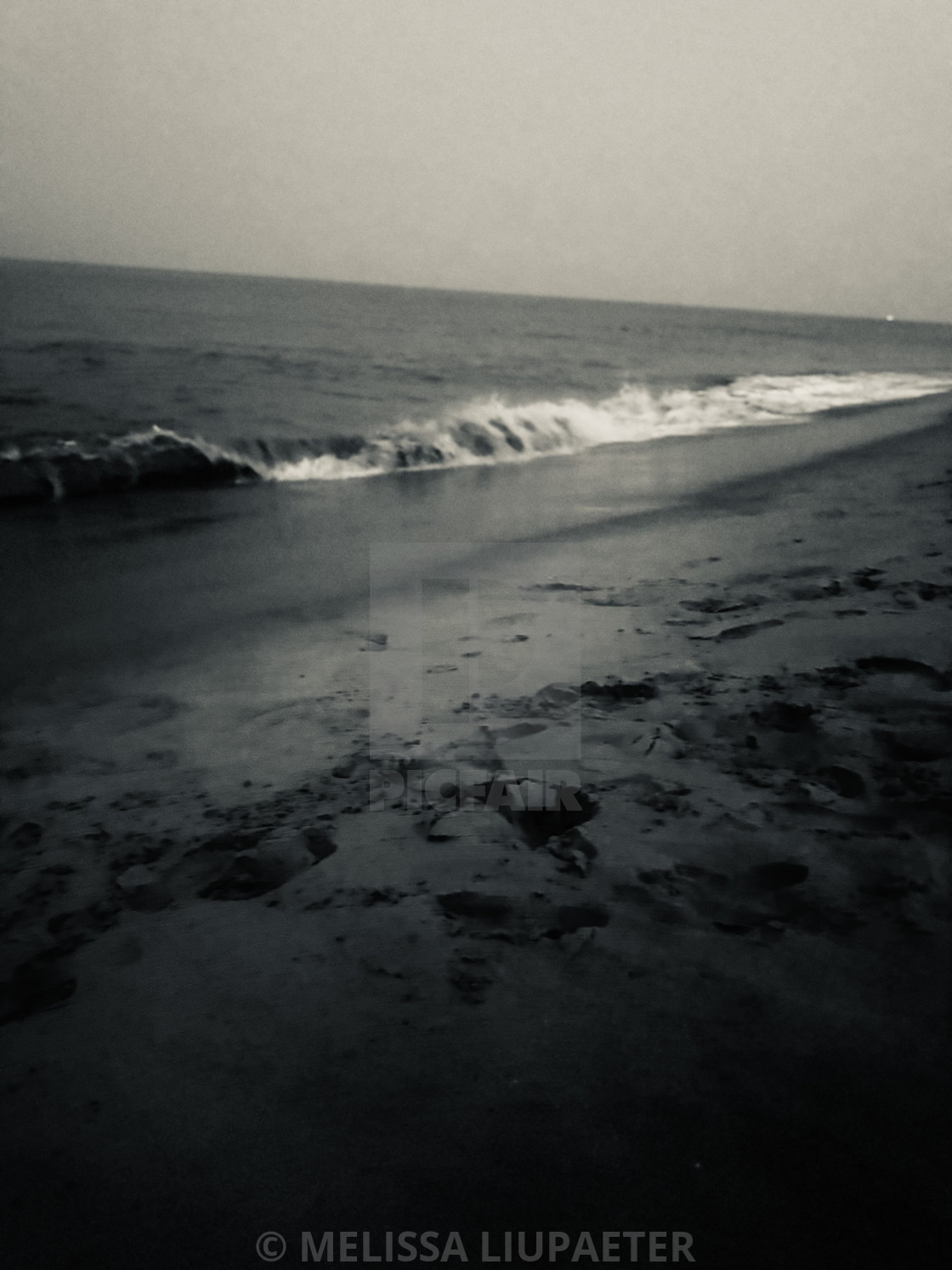 Monochrome light and movement near the sea