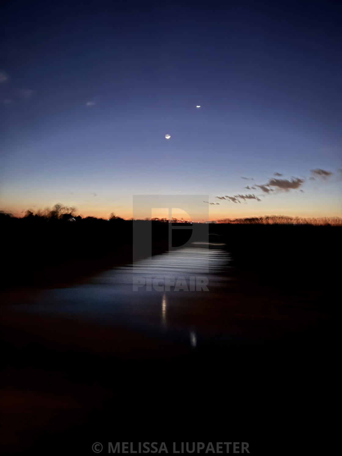 Moonlight over a path toward the water