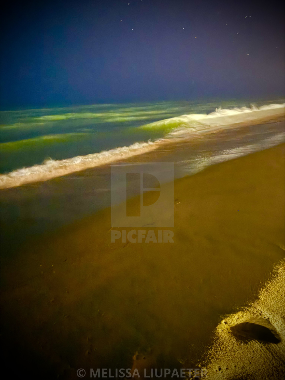 A moving wave photographed from shore